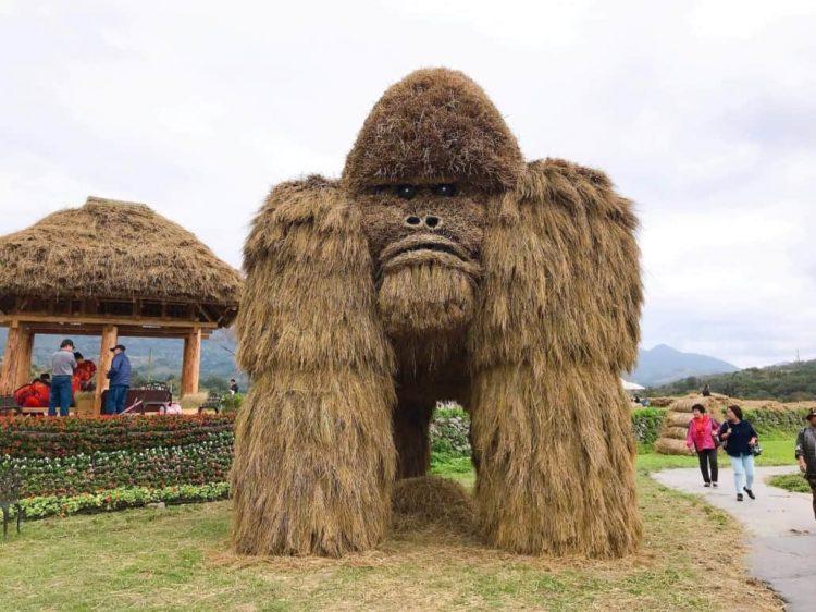 花蓮富里第一屆稻草藝術季 兩層樓高銀背猩猩現蹤