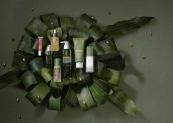 綠藤全新官網打破商業思維　原創內容傳遞永續