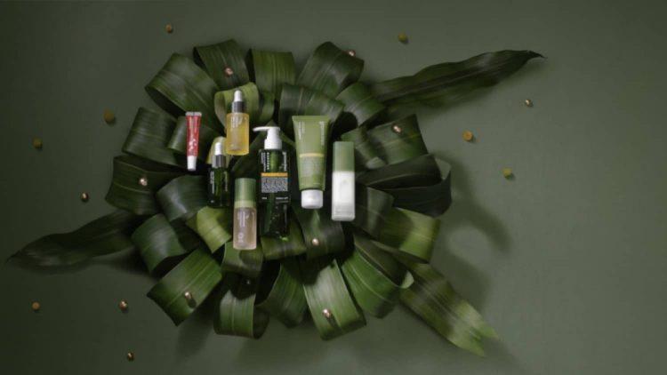 綠藤全新官網打破商業思維　原創內容傳遞永續