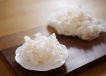 過年大魚大肉消化不良怎麼辦？白木耳飲品保順暢