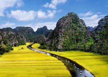 Tam Coc Rice Field