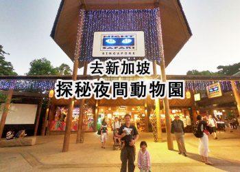 night-safari-featured