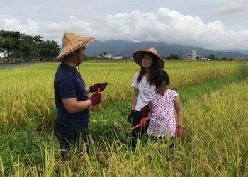 奐儀媽媽與宥晴體驗稻米收割