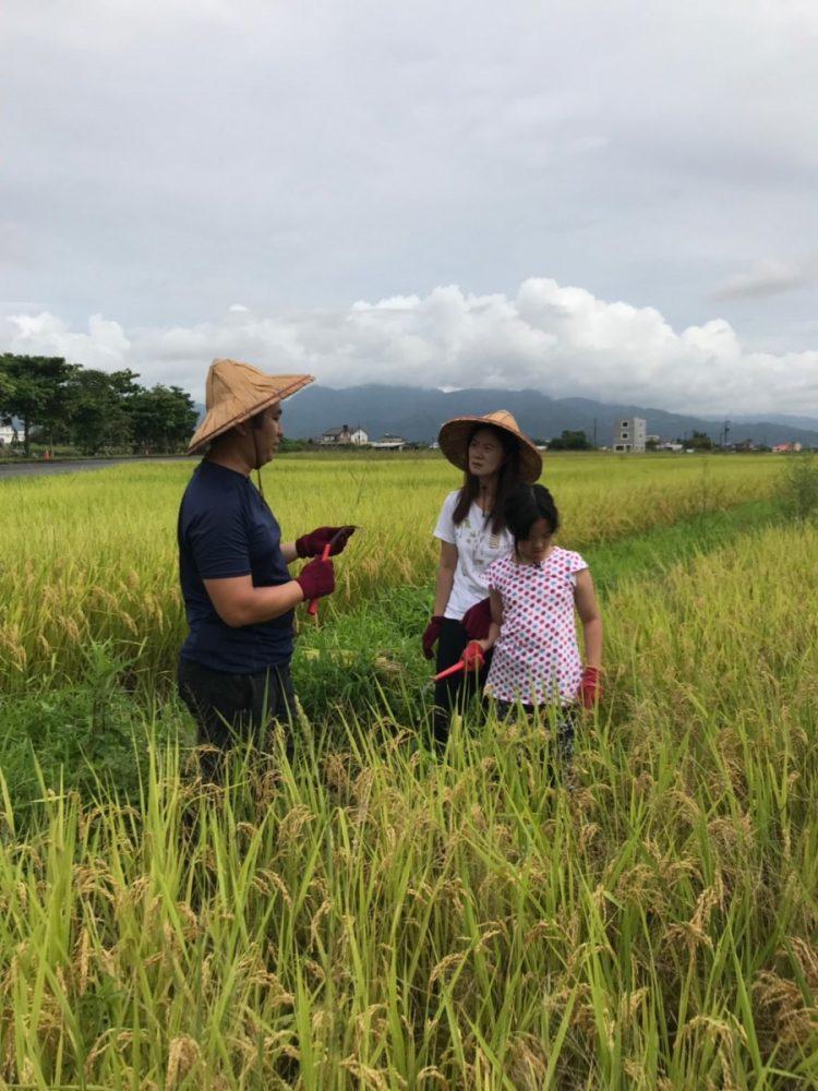奐儀媽媽與宥晴體驗稻米收割