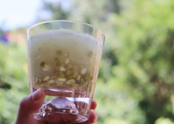 孕婦直呼超懷念的飲料！8more綠豆白木耳飲重現童年滋味