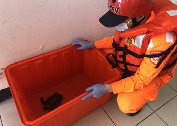 AF80B07F-8204-40B8-9537-6E48068E5F48