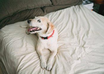 pexels-photo-5255614