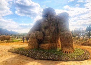 驚歎！富里第二屆稻草藝術季 首見20座巨型稻草動物派對狂歡