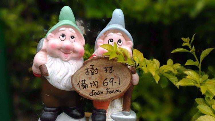 16804034_1235891949793192_4227806979235197997_o