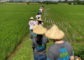 東京威力科創員工與育幼院孩童準備下田補秧