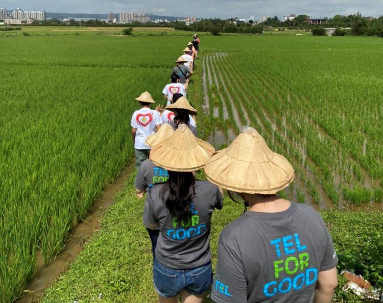 東京威力科創員工與育幼院孩童準備下田補秧