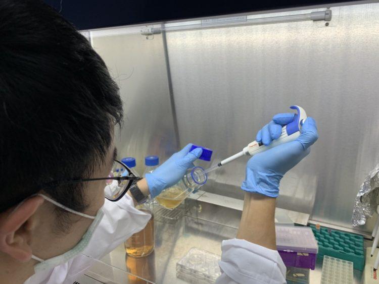 ●圖說：偉喬生醫積極投入抗原快篩試劑原料開發，不僅獲歐美藥廠洽詢，亦與國際公衛監控單位攜手，未來將持續針對流行性病毒研究。