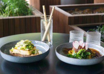 「綠色消費」臺東出發！呷飯顧健康，低碳飲食現正夯