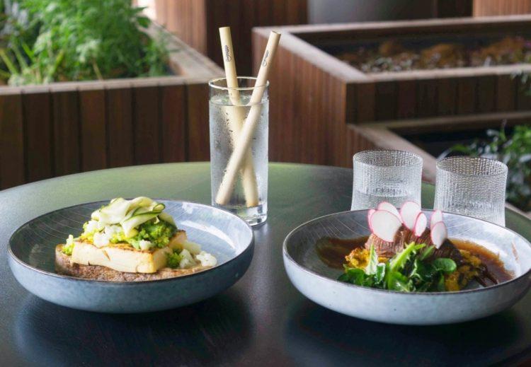 「綠色消費」臺東出發!呷飯顧健康,低碳飲食現正夯