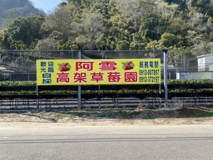 阿雪草莓園