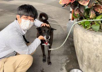 用生命影響生命