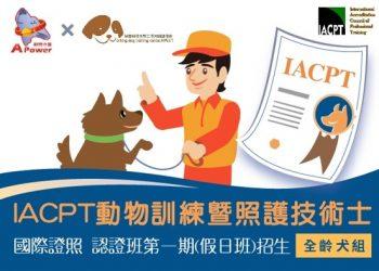 IACPT證照