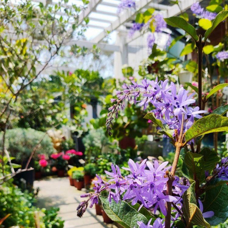 line_oa_chat_210929_110720