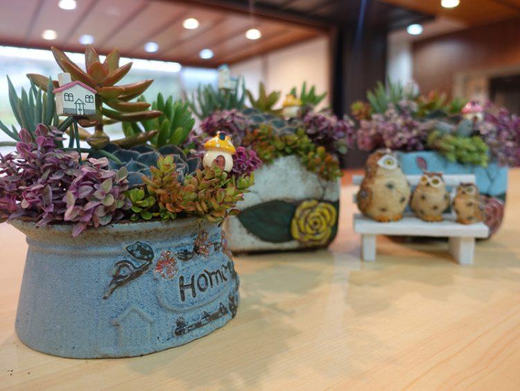 多肉植物作品---Home