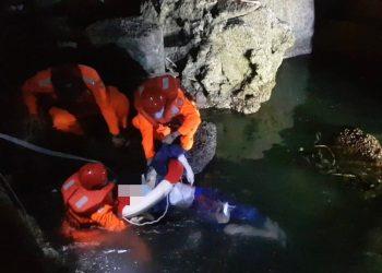 5F986940-7A7F-44D6-87B3-E76091BC0E28