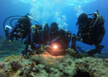 臺東擁有豐富的生態環境-綠島