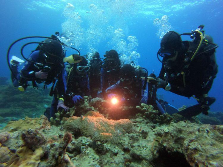 臺東擁有豐富的生態環境-綠島