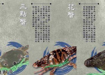 新富水產批發廣告照片_工作區域-1-複本-4-2-768x402