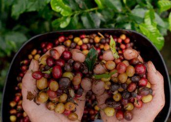 歐客佬精品咖啡