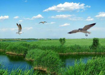 251635141719_.pic_hd