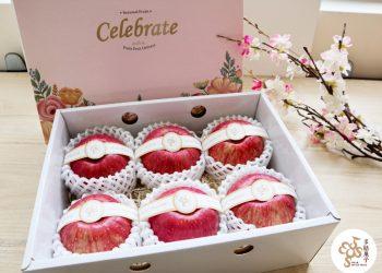 台灣新聞聯播網_主圖