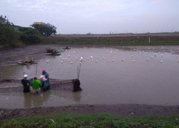 亮哥新聞稿圖片