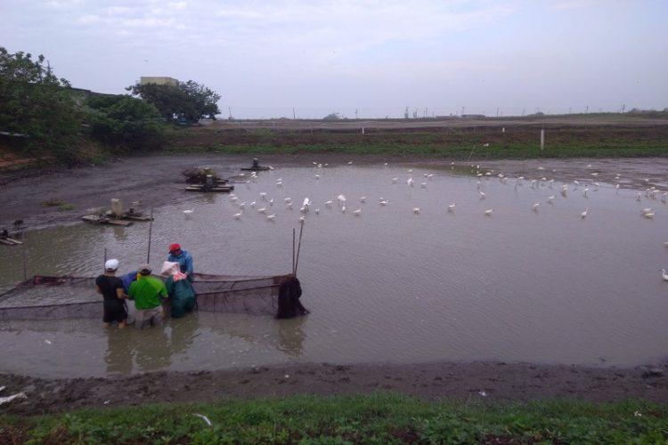 亮哥新聞稿圖片