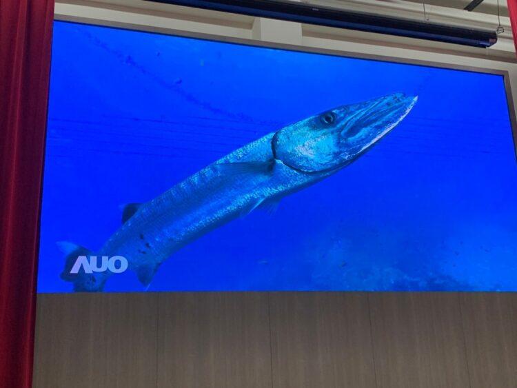 傑可達_大崙國小 254吋LED鋼構組裝！_220111