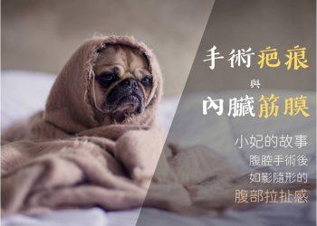 安和物理治療所