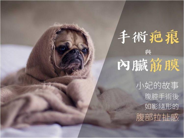 安和物理治療所