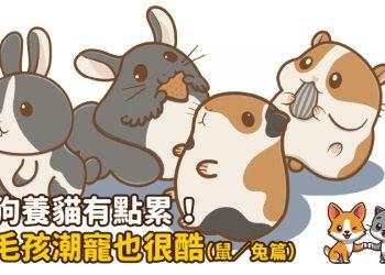 工作區域-1-100-6