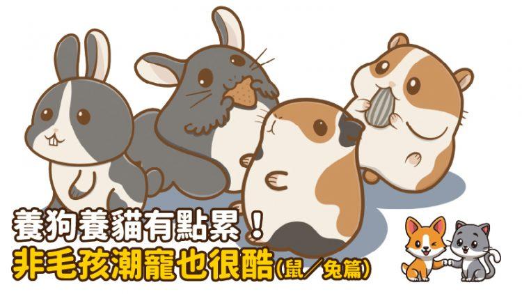 工作區域-1-100-6