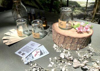 Sciencely Handmade 將把邀請制活動搬上森林秘境中，營造沈浸式體驗