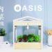 OASIS室內蔬菜製造機