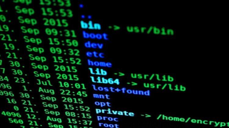 pexels-pixabay-207580