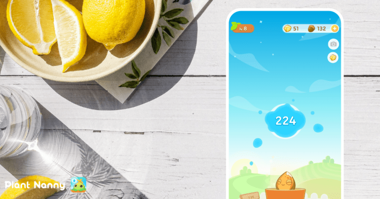 喝水 APP《植物保姆2》結合植物養成設計，用可愛的設計陪伴使用者一起喝水