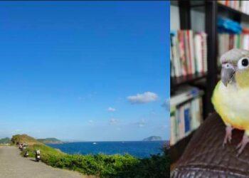 Snipaste_2022-09-23_21-07-14