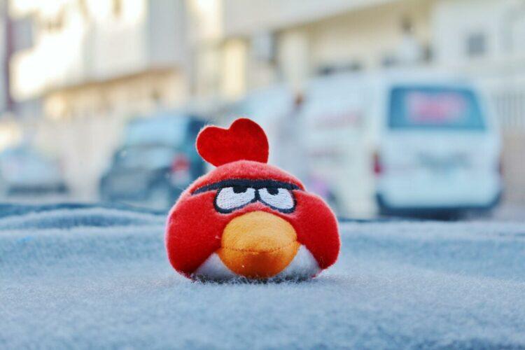 angry-bird-g0d7e2ac43_1920