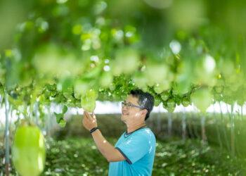 【圖一】奧丁丁市集攜手農友推出「食食相伴」週年慶活動，邀民眾以行動支持在地生產者