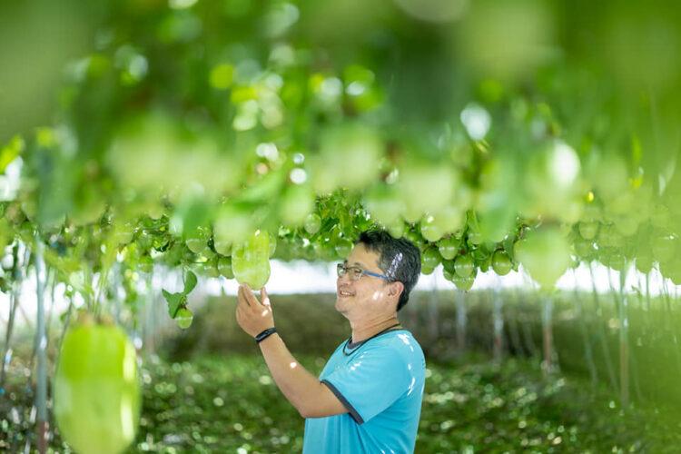 【圖一】奧丁丁市集攜手農友推出「食食相伴」週年慶活動，邀民眾以行動支持在地生產者