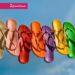 彩虹鞋_2