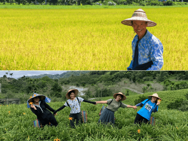 玉里稻米和金針