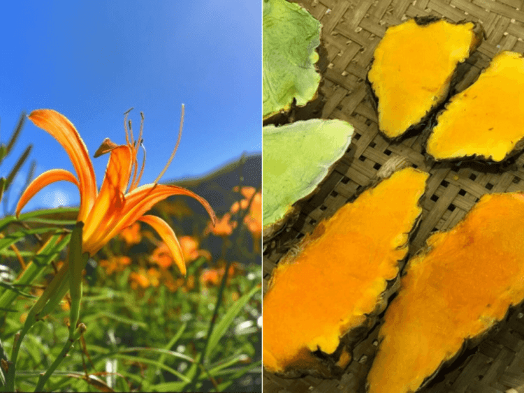 花蓮美容保養品