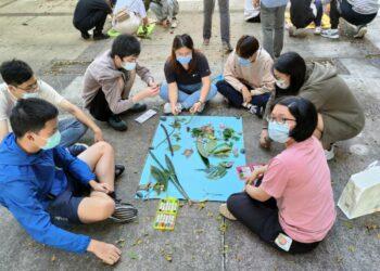 聖約翰科技大學開設園藝治療課程，同學透過樹葉進行創意拼貼。