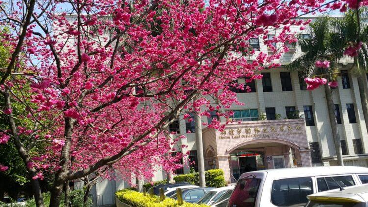 樹林地政(台灣新聞聯播網用)-d71fa545